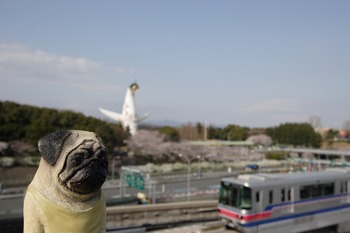 大阪モノレールと太陽の塔