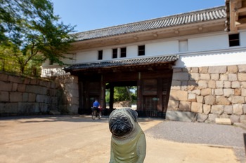 丸亀城一の門