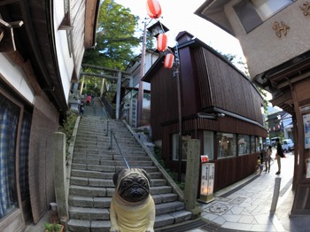 伊香保神社の階段
